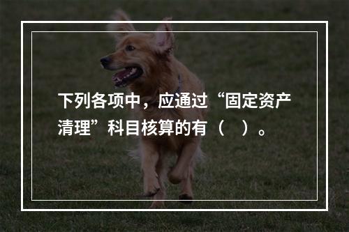 下列各项中，应通过“固定资产清理”科目核算的有（　）。