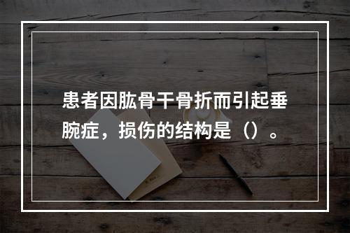 患者因肱骨干骨折而引起垂腕症，损伤的结构是（）。