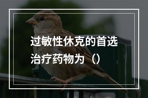 过敏性休克的首选治疗药物为（）