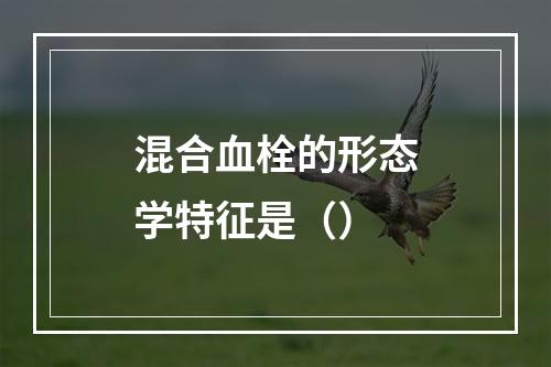 混合血栓的形态学特征是（）