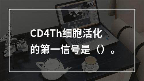 CD4Th细胞活化的第一信号是（）。