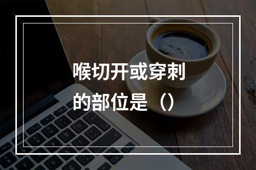 喉切开或穿刺的部位是（）