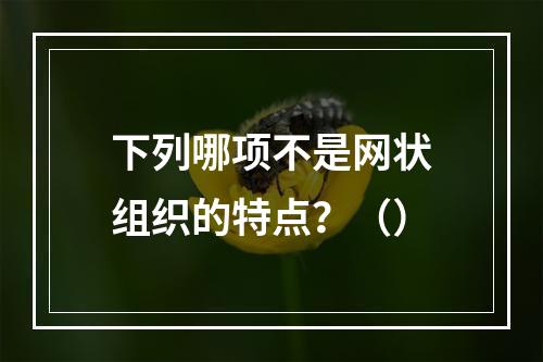 下列哪项不是网状组织的特点？（）