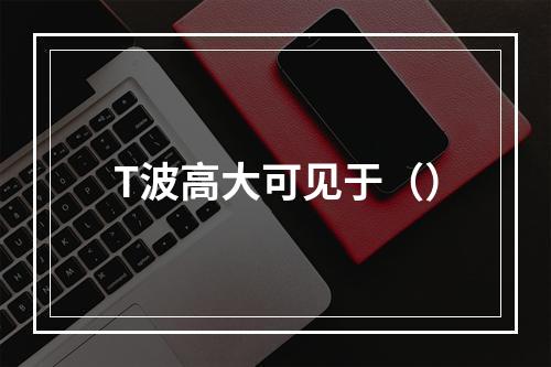 T波高大可见于（）