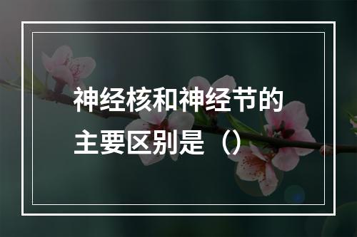 神经核和神经节的主要区别是（）