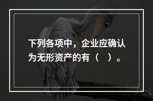 下列各项中，企业应确认为无形资产的有（　）。