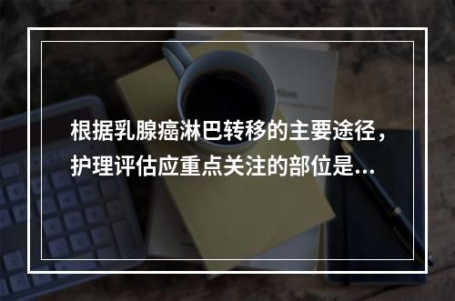 根据乳腺癌淋巴转移的主要途径，护理评估应重点关注的部位是（）