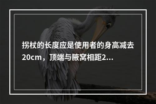 拐杖的长度应是使用者的身高减去20cm，顶端与腋窝相距2～3