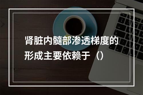 肾脏内髓部渗透梯度的形成主要依赖于（）