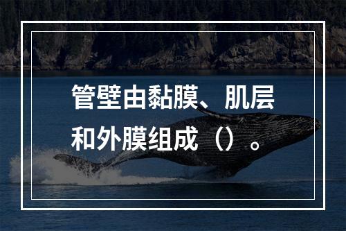 管壁由黏膜、肌层和外膜组成（）。