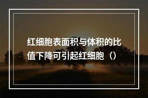 红细胞表面积与体积的比值下降可引起红细胞（）