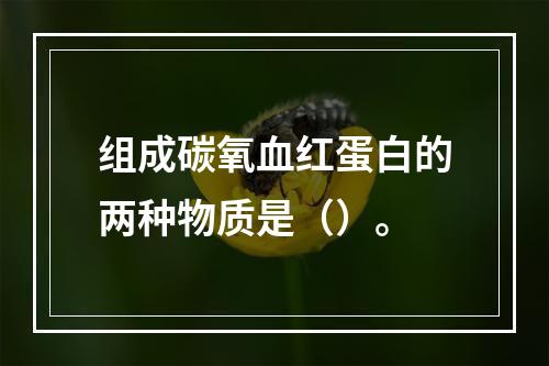 组成碳氧血红蛋白的两种物质是（）。