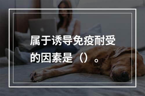 属于诱导免疫耐受的因素是（）。