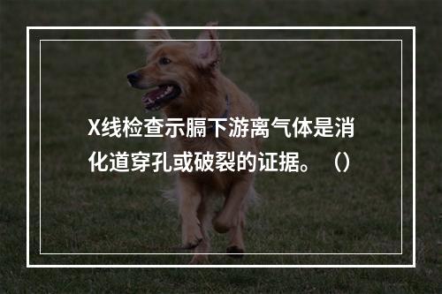 X线检查示膈下游离气体是消化道穿孔或破裂的证据。（）