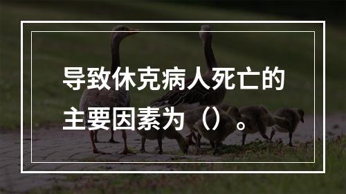 导致休克病人死亡的主要因素为（）。