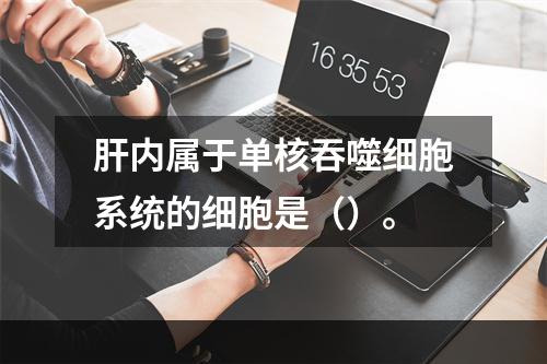 肝内属于单核吞噬细胞系统的细胞是（）。