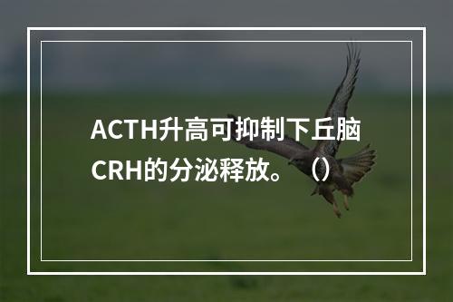 ACTH升高可抑制下丘脑CRH的分泌释放。（）