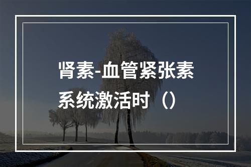 肾素-血管紧张素系统激活时（）