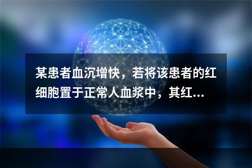 某患者血沉增快，若将该患者的红细胞置于正常人血浆中，其红细胞