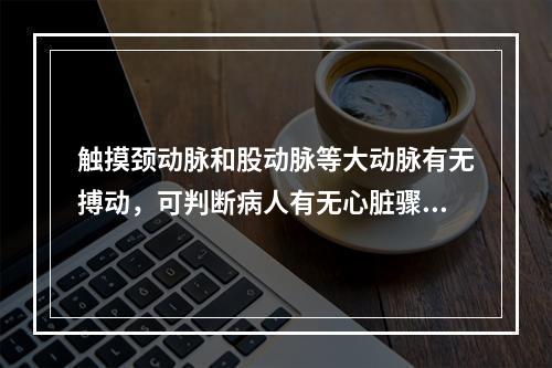 触摸颈动脉和股动脉等大动脉有无搏动，可判断病人有无心脏骤停。