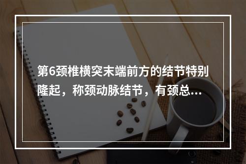 第6颈椎横突末端前方的结节特别隆起，称颈动脉结节，有颈总动脉