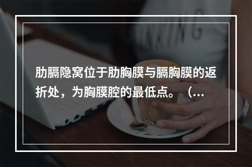 肋膈隐窝位于肋胸膜与膈胸膜的返折处，为胸膜腔的最低点。（）