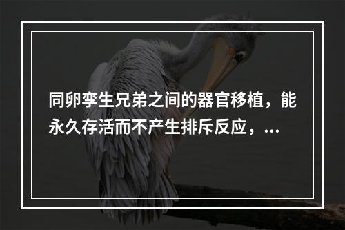 同卵孪生兄弟之间的器官移植，能永久存活而不产生排斥反应，称为