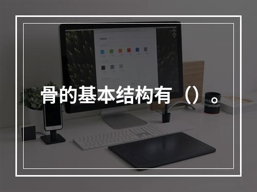 骨的基本结构有（）。