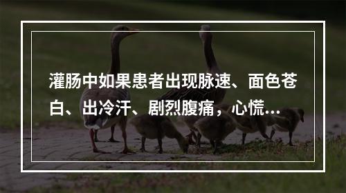 灌肠中如果患者出现脉速、面色苍白、出冷汗、剧烈腹痛，心慌气促