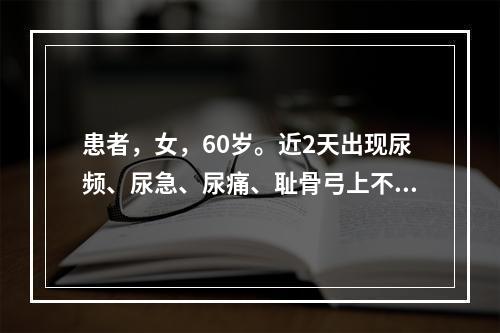 患者，女，60岁。近2天出现尿频、尿急、尿痛、耻骨弓上不适，