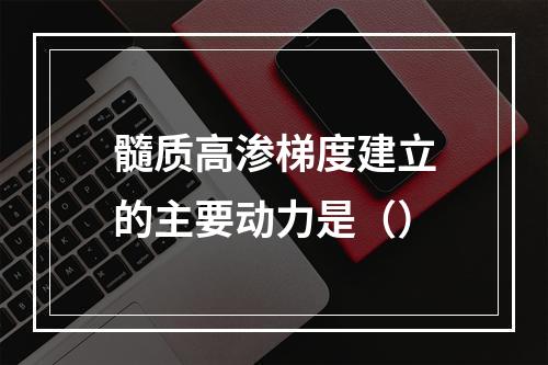 髓质高渗梯度建立的主要动力是（）