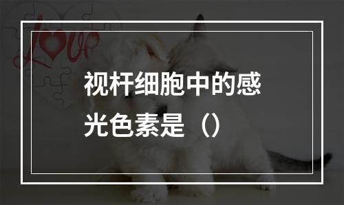 视杆细胞中的感光色素是（）