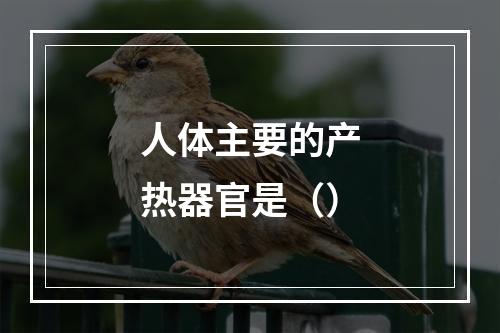 人体主要的产热器官是（）