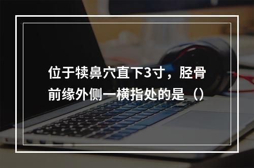 位于犊鼻穴直下3寸，胫骨前缘外侧一横指处的是（）