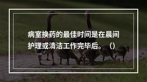 病室换药的最佳时间是在晨间护理或清洁工作完毕后。（）