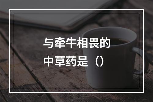 与牵牛相畏的中草药是（）