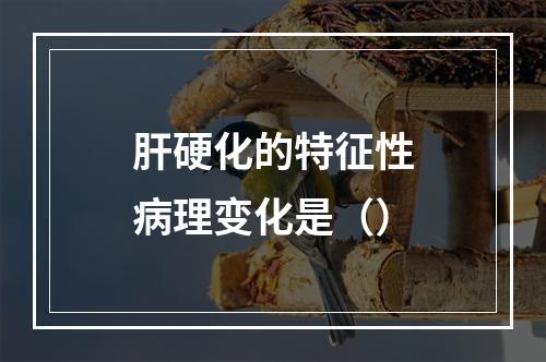 肝硬化的特征性病理变化是（）