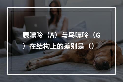 腺嘌呤（A）与鸟嘌呤（G）在结构上的差别是（）