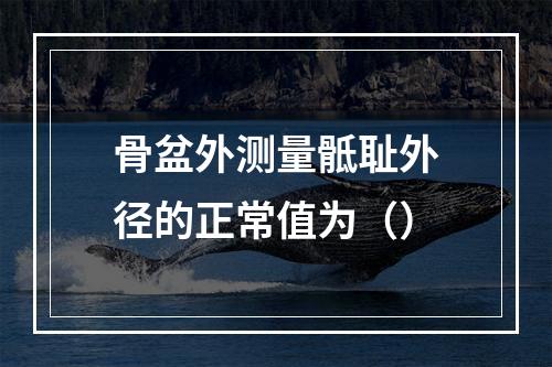 骨盆外测量骶耻外径的正常值为（）