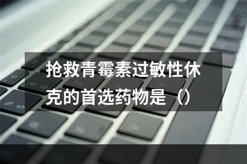 抢救青霉素过敏性休克的首选药物是（）