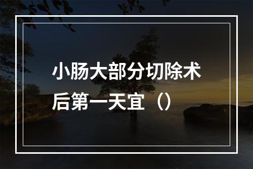 小肠大部分切除术后第一天宜（）