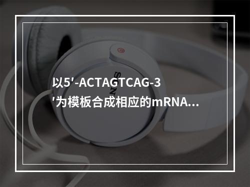 以5′-ACTAGTCAG-3′为模板合成相应的mRNA链的