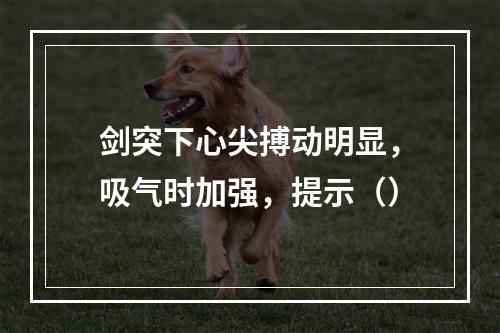 剑突下心尖搏动明显，吸气时加强，提示（）