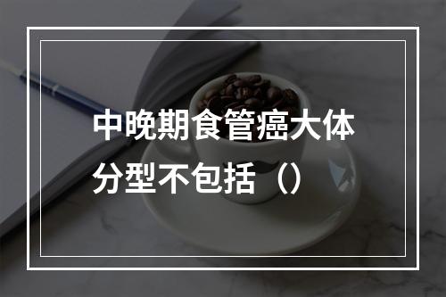 中晚期食管癌大体分型不包括（）