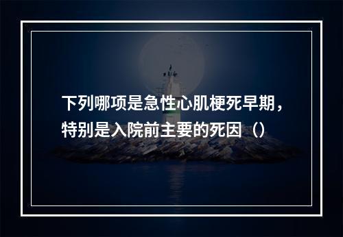 下列哪项是急性心肌梗死早期，特别是入院前主要的死因（）