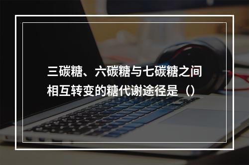 三碳糖、六碳糖与七碳糖之间相互转变的糖代谢途径是（）