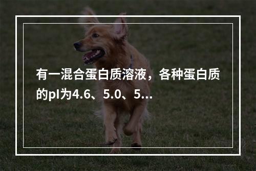 有一混合蛋白质溶液，各种蛋白质的pI为4.6、5.0、5.3