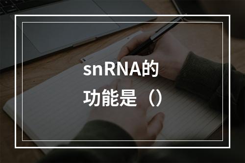 snRNA的功能是（）