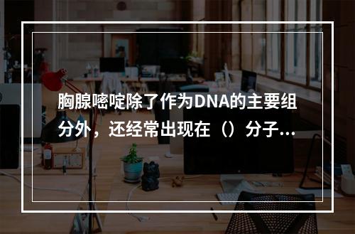 胸腺嘧啶除了作为DNA的主要组分外，还经常出现在（）分子中（