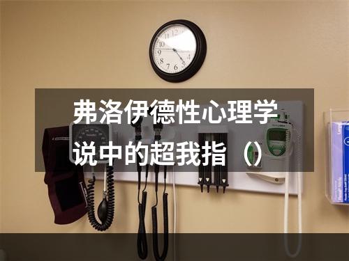 弗洛伊德性心理学说中的超我指（）